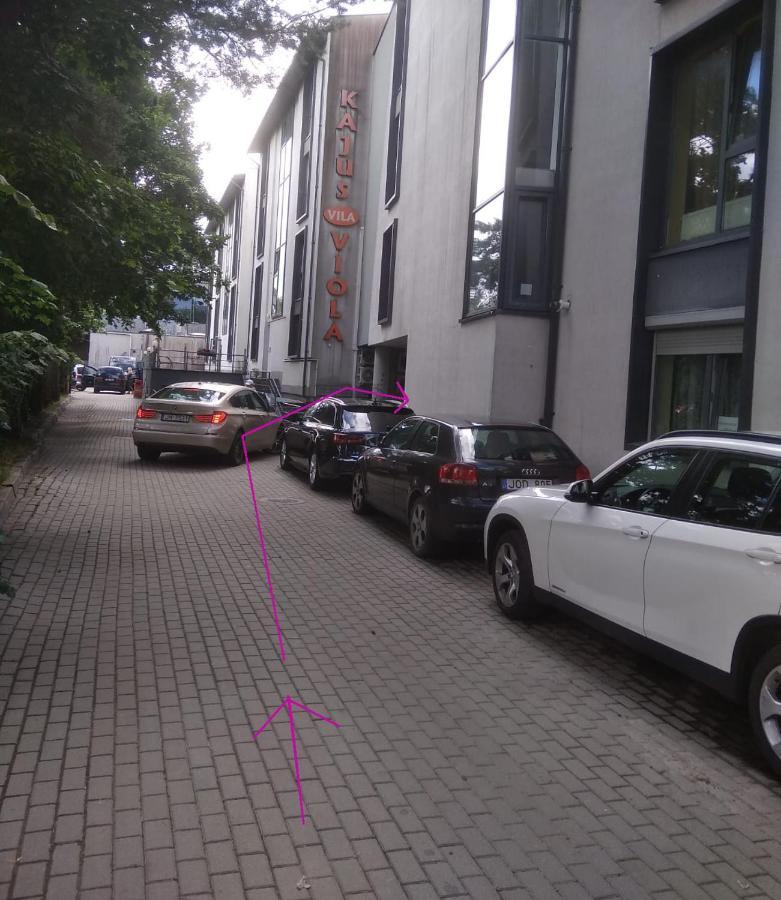 S.Neries Butas Palanga Exterior foto